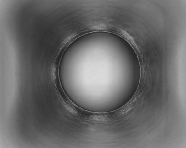 X0000113300106200909211129