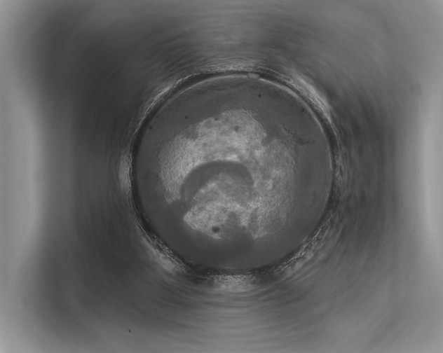 X0000113300107200909211129