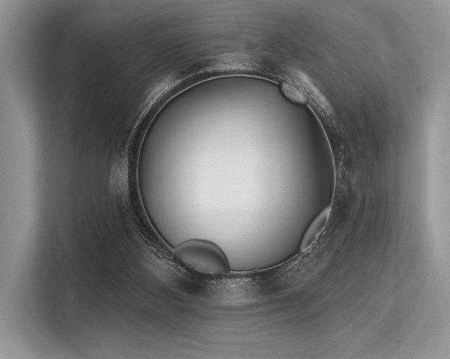 X0000113300108200909211129