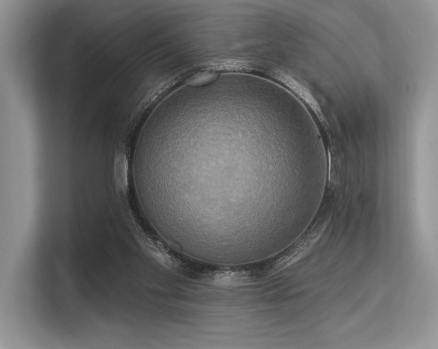 X0000113300109200909211129