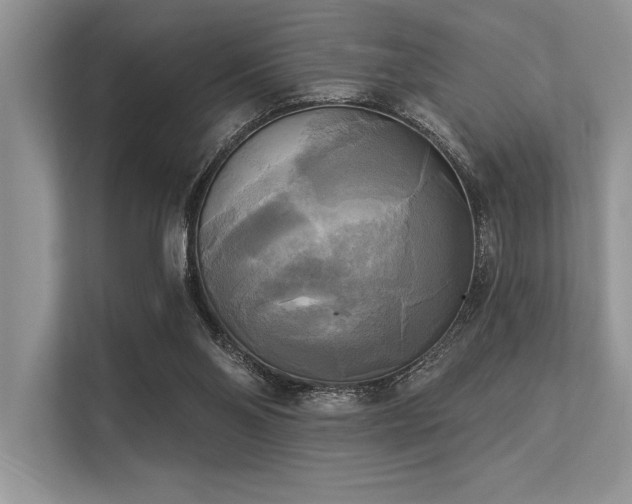 X0000113300110200909211129