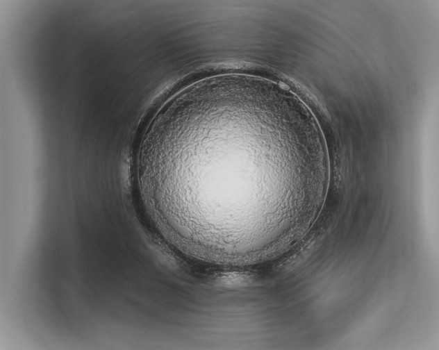 X0000113300111200909211129