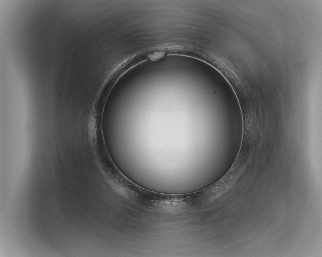 X0000113300112200909211129