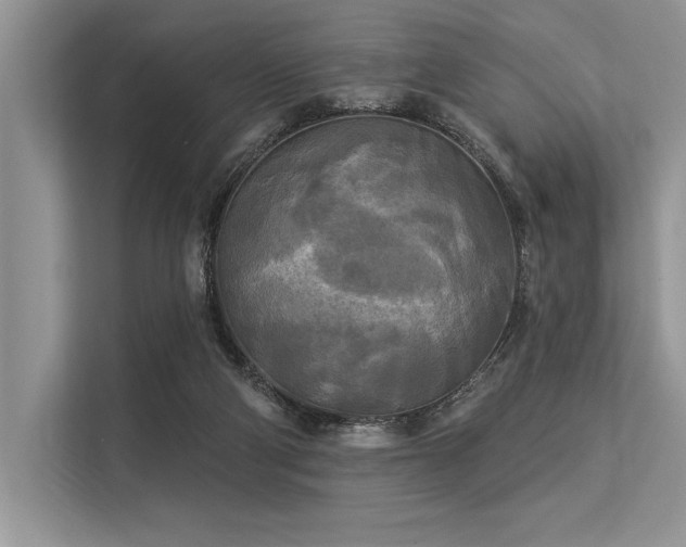 X0000113300114200909211129