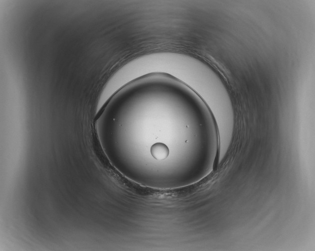 X0000113300117200909211129