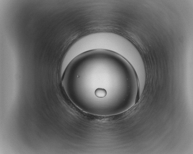 X0000113300120200909211129