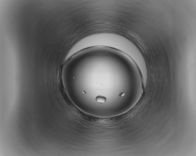 X0000113300121200909211129