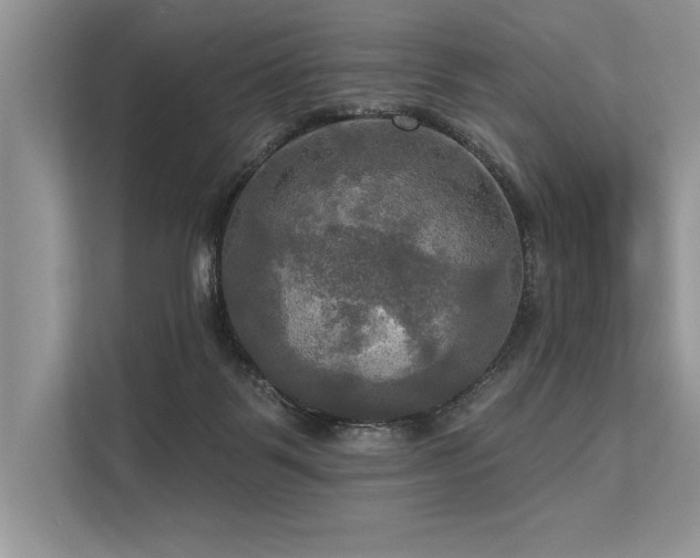 X0000113300123200909211129