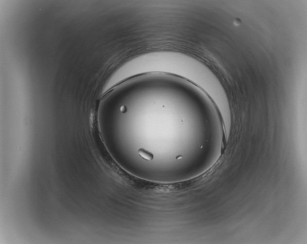 X0000113300124200909211129