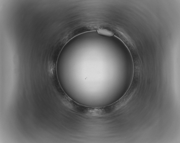 X0000113300125200909211129