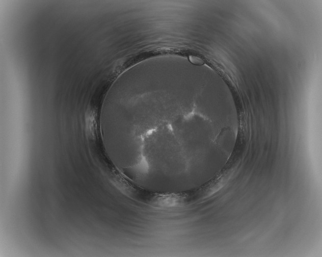 X0000113300127200909211129