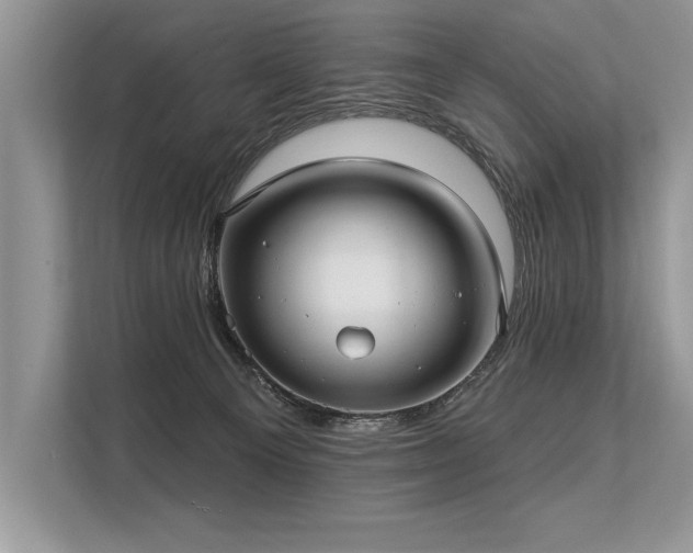 X0000113300129200909211129