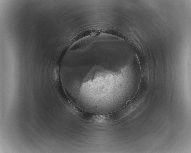 X0000113300131200909211129