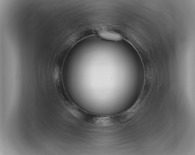 X0000113300132200909211129