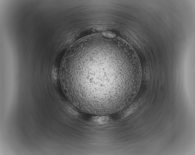 X0000113300135200909211129