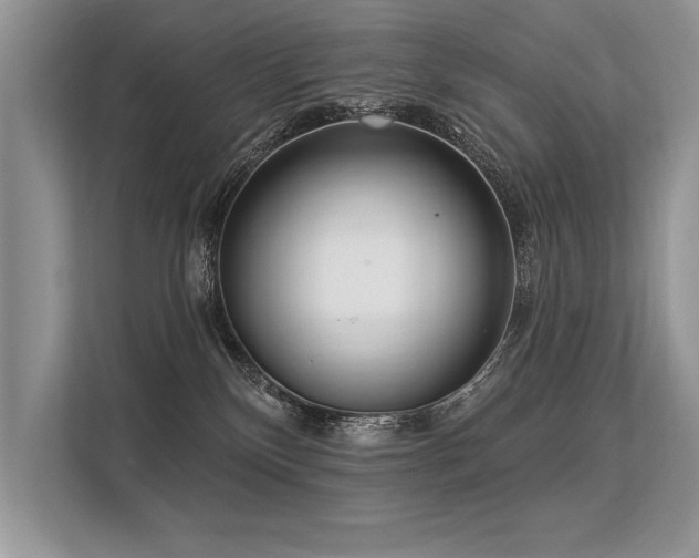 X0000113300136200909211129