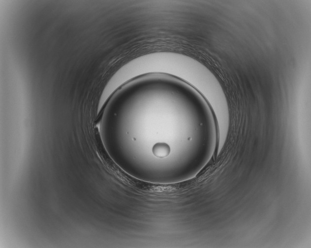 X0000113300137200909211129