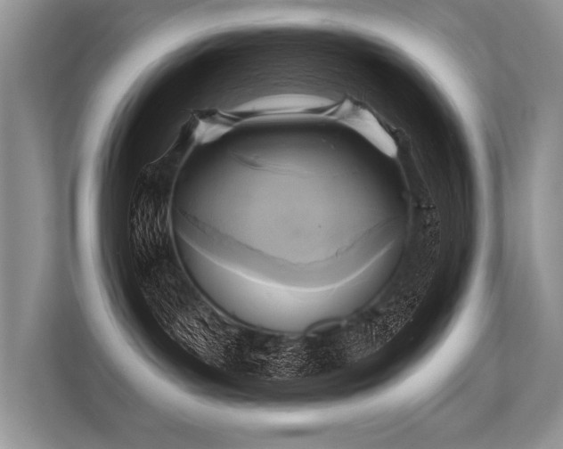 X0000113300143200909211129