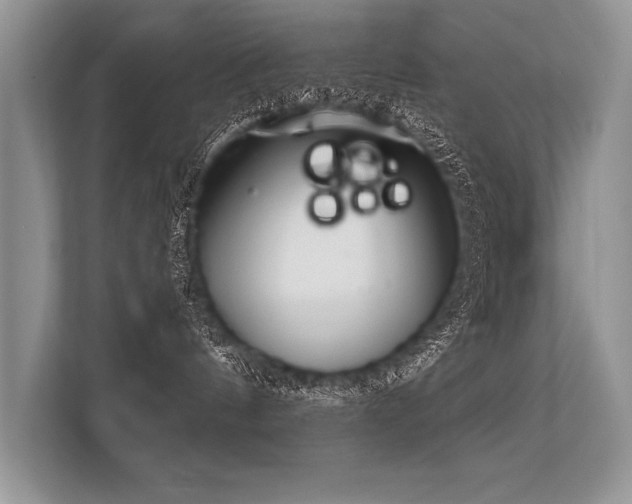 X0000113300144200909211129