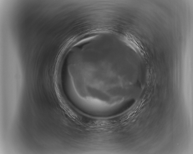 X0000113300145200909211128