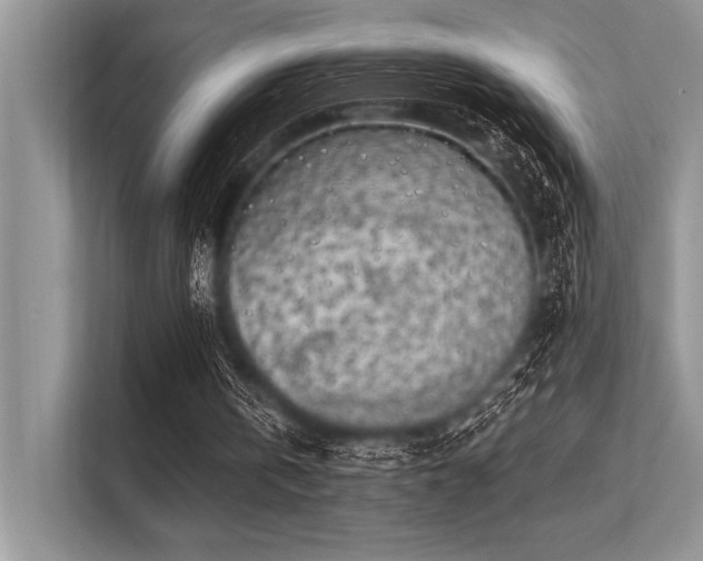 X0000113300146200909211128