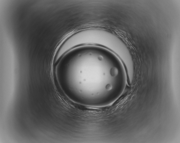 X0000113300148200909211128