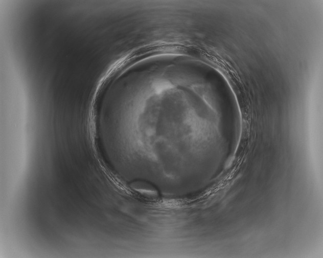 X0000113300149200909211128