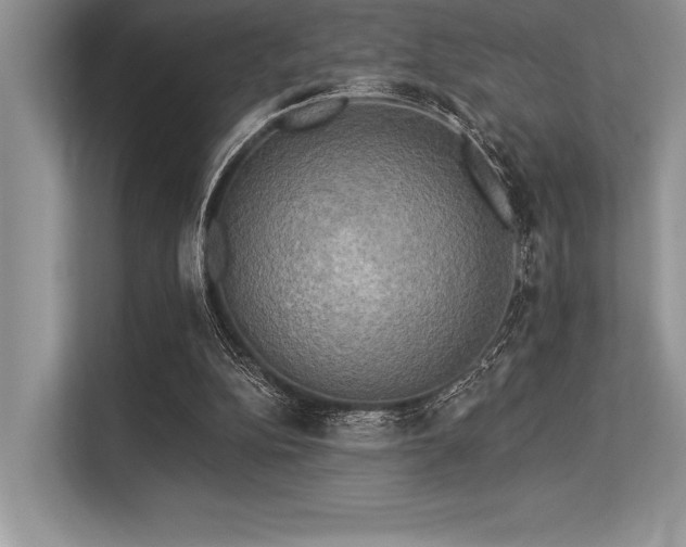 X0000113300152200909211128