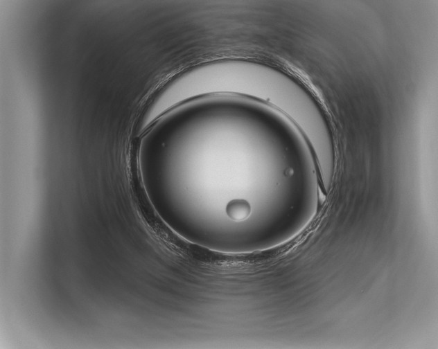 X0000113300154200909211128