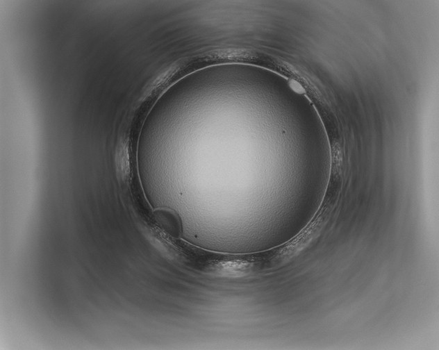 X0000113300158200909211128