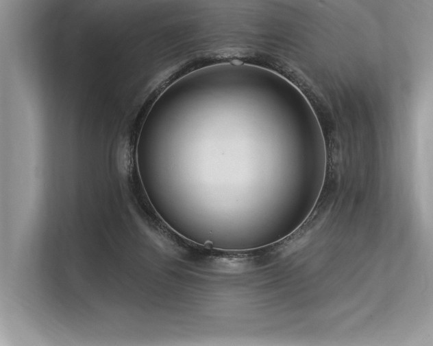 X0000113300164200909211128