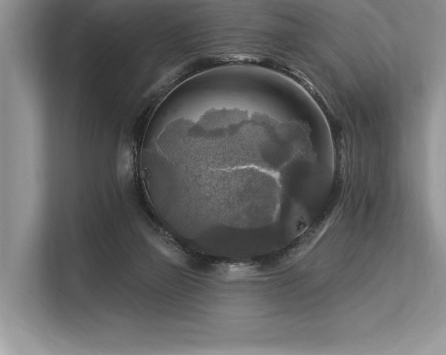 X0000113300165200909211128