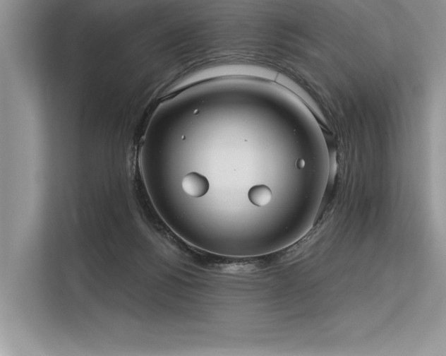 X0000113300168200909211128