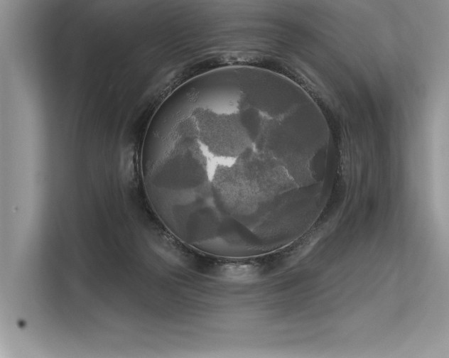 X0000113300169200909211128