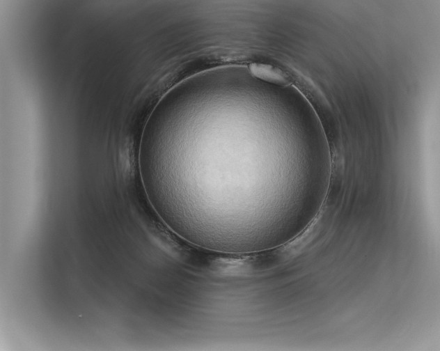 X0000113300170200909211128