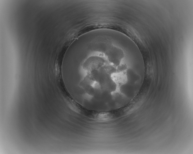 X0000113300173200909211129