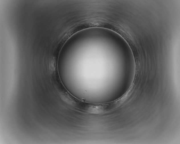 X0000113300174200909211129