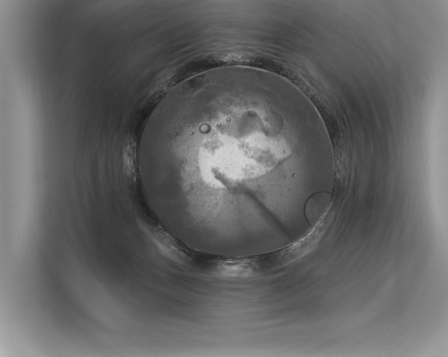 X0000113300175200909211129