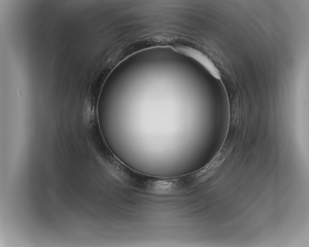 X0000113300176200909211129