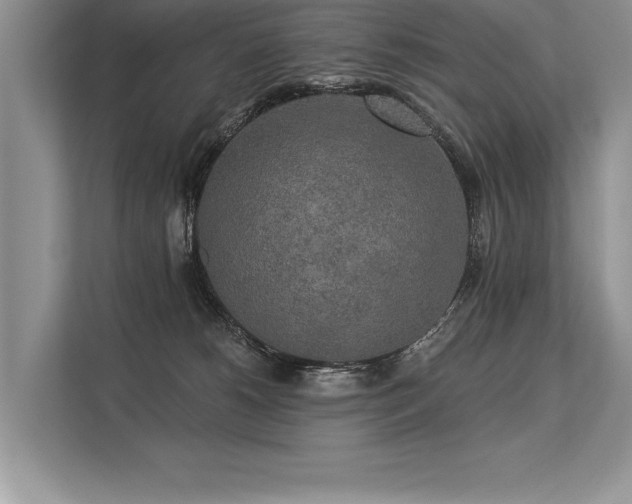 X0000113300180200909211129