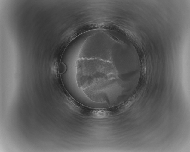 X0000113300181200909211129