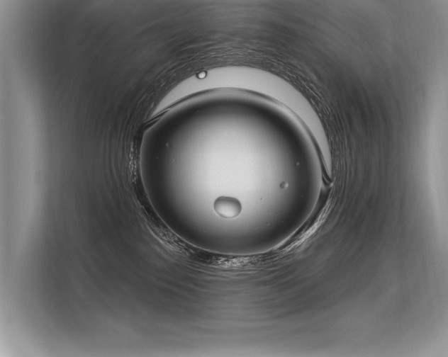 X0000113300186200909211129