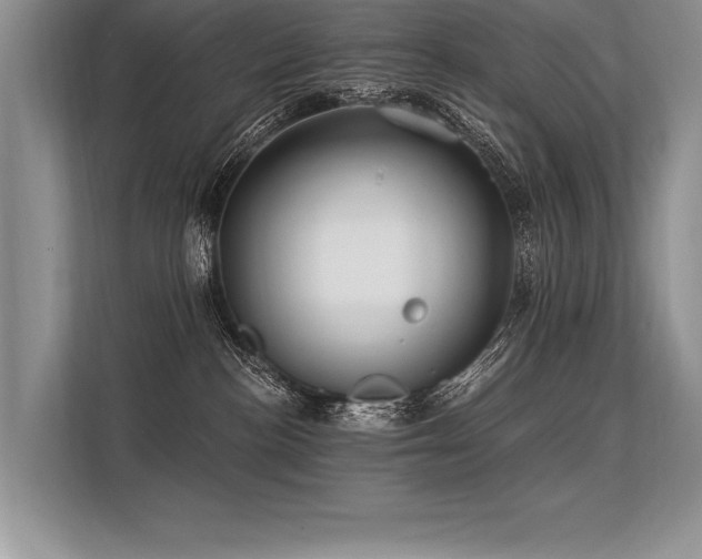 X0000113300188200909211129