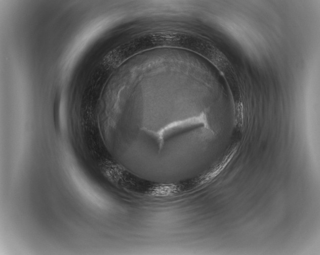 X0000113300189200909211129