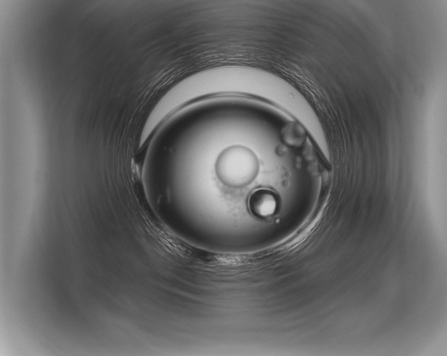 X0000113300190200909211129