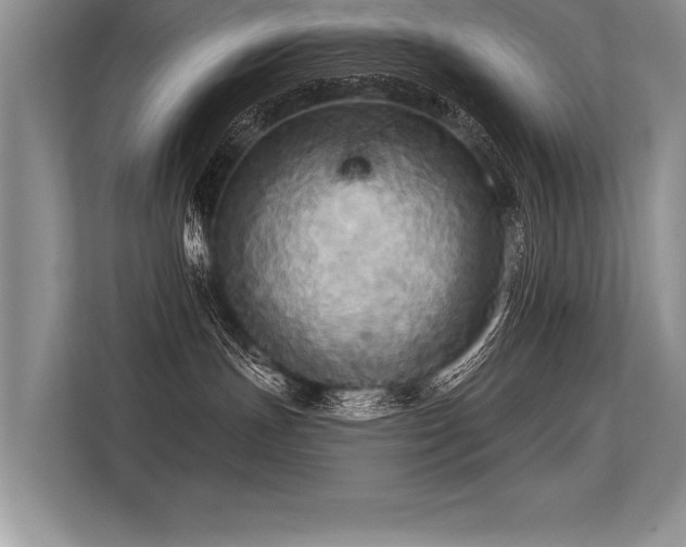 X0000113300191200909211129