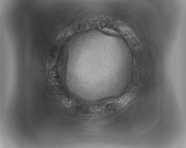 X0000113300192200909211129