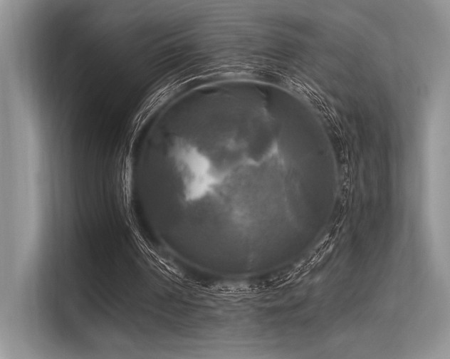 X0000113300194200909211128