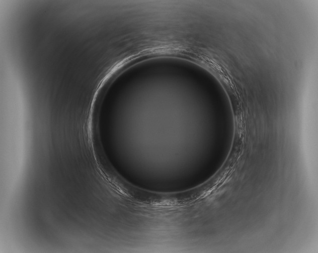 X0000113300196200909211128