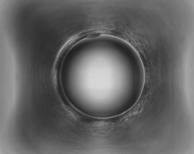 X0000113300197200909211128